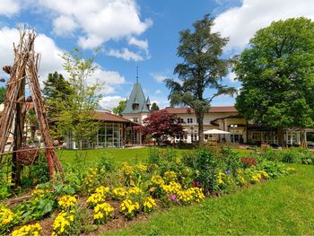 Wanderspaß im Nordschwarzwald: 8 Tage aktive Auszeit