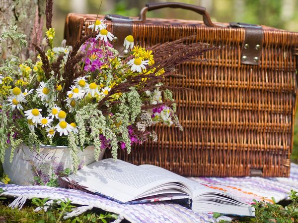 2 Tage Picknick am Rhein in Bonn, Nordrhein-Westfalen inkl. Halbpension