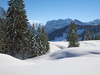 Winterurlaub im Bregenzerwald inkl. Ski Tagespass