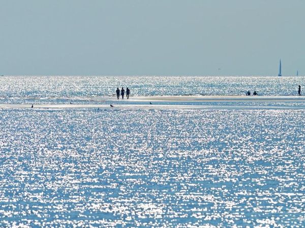 6 Tage zwischen Meer und Therme - Erholsames Bibione Pineda Aparthotel, Venetien inkl. Frühstück