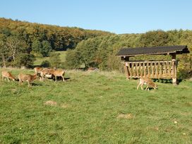 Jägerhof Wohlfühlwoche mit Thermenbesuch