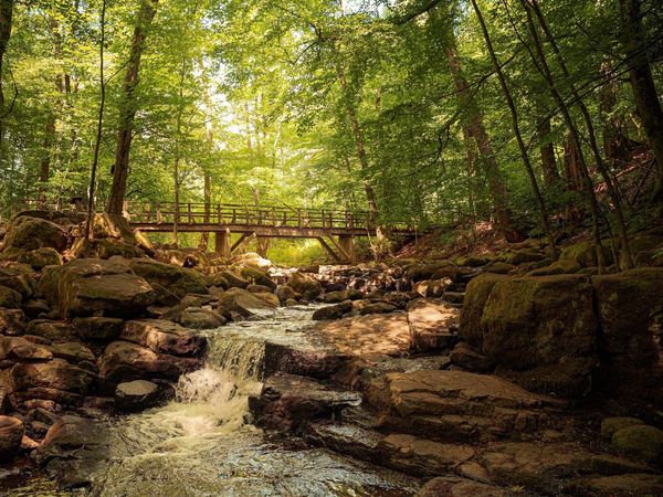 3 Tage Westerwälder Natur pur inkl. Wellness-Verwöhnpension in Höhr-Grenzhausen, Rheinland-Pfalz inkl. Halbpension