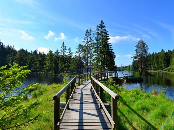 Erleben & Erholen im schönen Fichtelgebirge – 4 Tage in Warmensteinach Frühstück