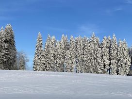 7 Tage nahe des Rothaargebirges im Sauerland