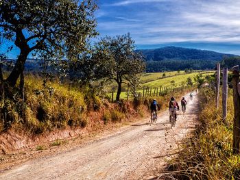 Radl-Spaß in der Steiermark inkl. HP | 7 Tage