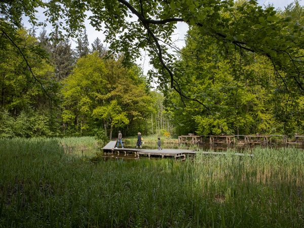 6 Tage Erholsamer Natururlaub im Herzen von Flevoland in Marknesse,  inkl. Halbpension