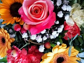 3 Tage Kurz-mal RausZeit nahe dem Spreewald