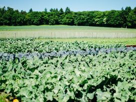 Erholung im grünen Apeldoorn - 2 Tage im Nachbarland