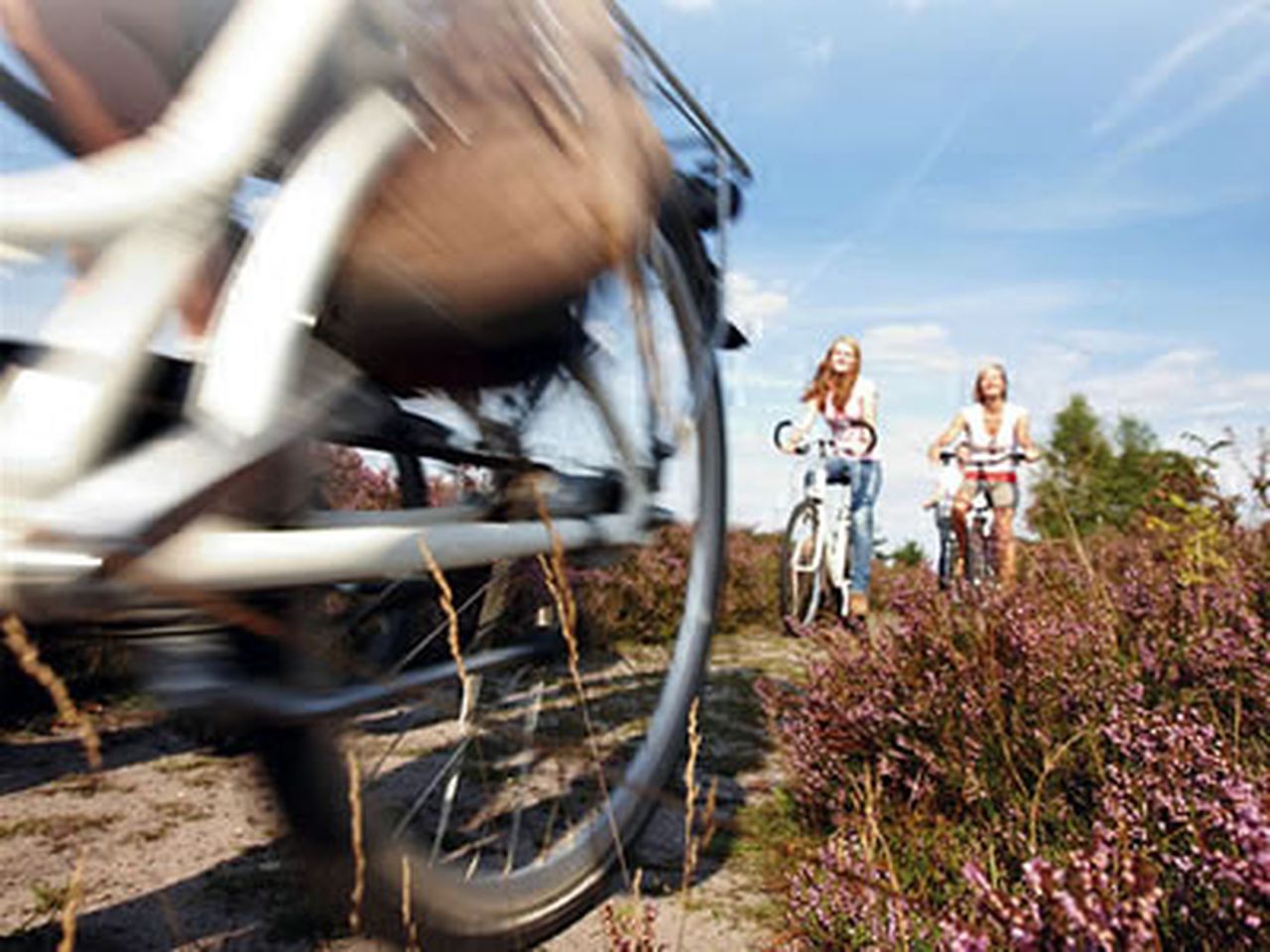 Lüneburger Heide per Rad entdecken