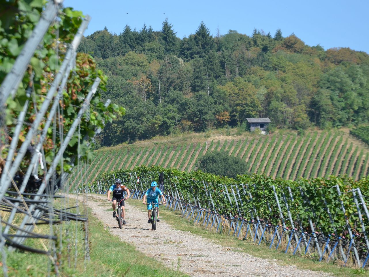 3 Tage Kurzurlaub am Rhein