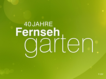 ZDF Fernsehgarten mit Ticket und Hotel