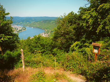Rheinschifffahrt zur Loreley