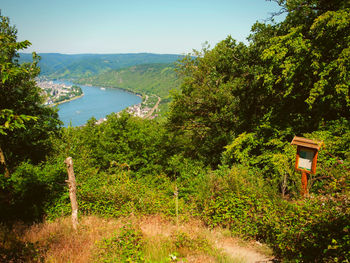 Radtour am Rhein