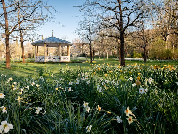 4 Tage Kurzurlaub im Taubertal - Vitaltage in Bad Mergentheim Halbpension Plus