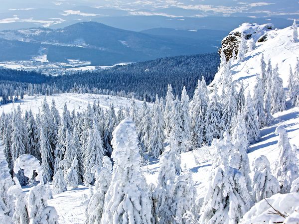 3 Tage Winter Deal - Großer Arber Erleben und Entdecken in Bayerisch Eisenstein, Bayern inkl. Halbpension