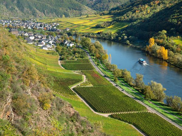 8 Tage Aktivurlaub – Mosel über Stock & Stein in Löf, Rheinland-Pfalz inkl. Halbpension Plus
