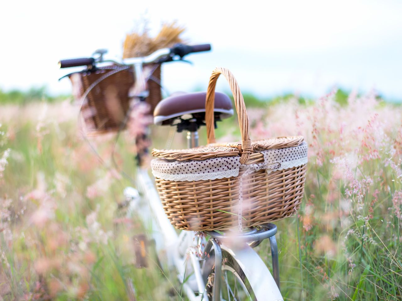 Radfahren im lieblichen Taubertal - 7 Tage