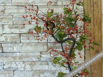 2 Tage in den bayerischen Alpen mit Frühstück