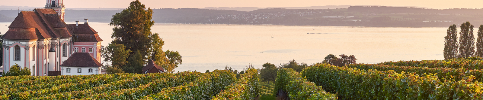 Bodensee Panorama