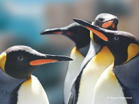 Tierpark und Tropen Aquarium Hagenbeck in Hamburg mit Hotel