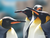 Tierpark und Tropen Aquarium Hagenbeck in Hamburg mit Hotel