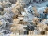 Ihr Kurzurlaub mit Besuch der Bodetal-Therme - 2 Tage