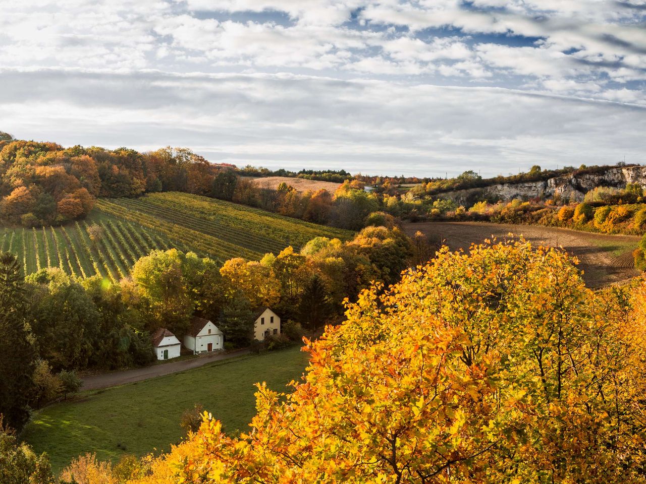 5 Wohlfühlnächte im herrlichen Weinviertel