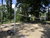 4 Tage im Herzen der Veluwe