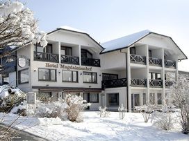 Auf vier Pfoten durch das Sauerland: 4 Tage Urlaub mit Hund in Willingen