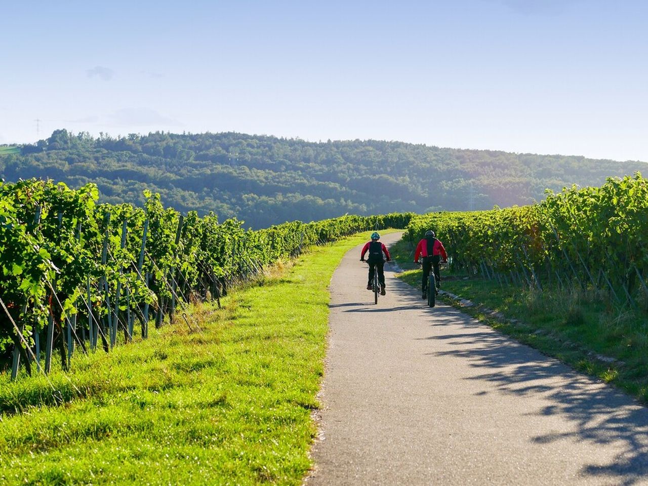 Aktivurlaub - mit dem Fahrrad durch die Ortenau