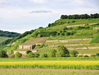 Kurzurlaub im Weinparadies Kaiserstuhl