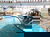 Wellness der Superlative - 4 Tage
