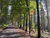 5 Tage Aktiv- und Familienauszeit in der Winterberger Bergwelt mit Halbpension