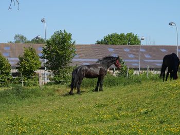 Bad Lauterberg entdecken 3 Tage