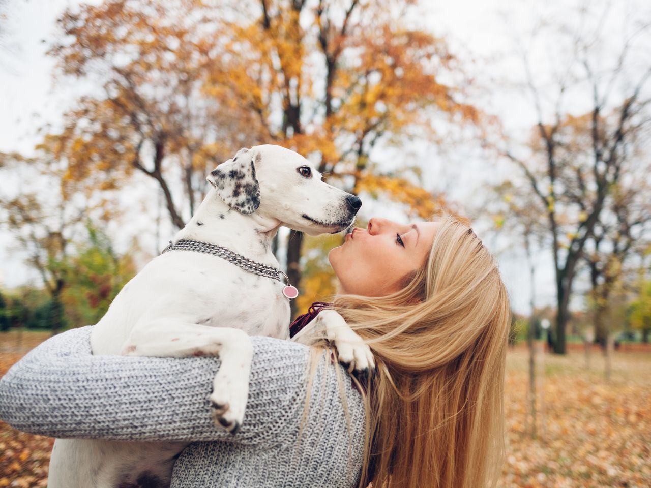 Urlaub für 4 Pfoten - Erholung mit dem Hund | 3 Tage