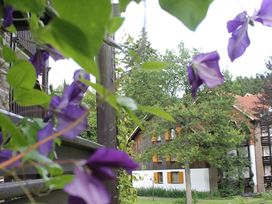 Ruhe im Harz - 3 Tage Erholung & Sport in Braunlage