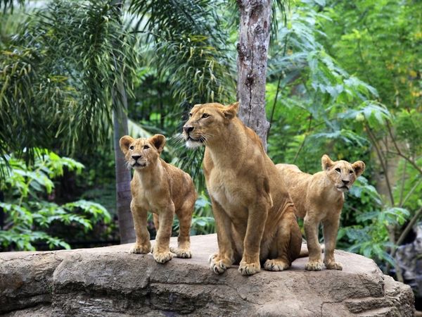 TIERisch entspannt & fit in Osnabrück Frühstück