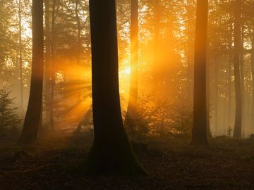 Wellnesshotel im Spessart