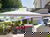 Herbst / WInter an den Extersteinen - 4 Tage