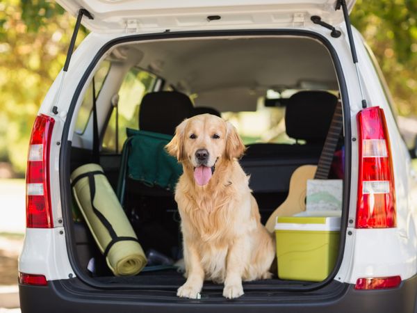 3 Tage Urlaub mit Hund in Stemwede Halbpension