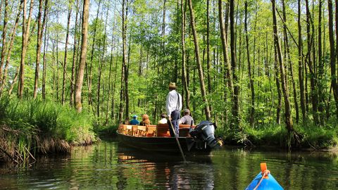 Kahnfahrt im Spreewald