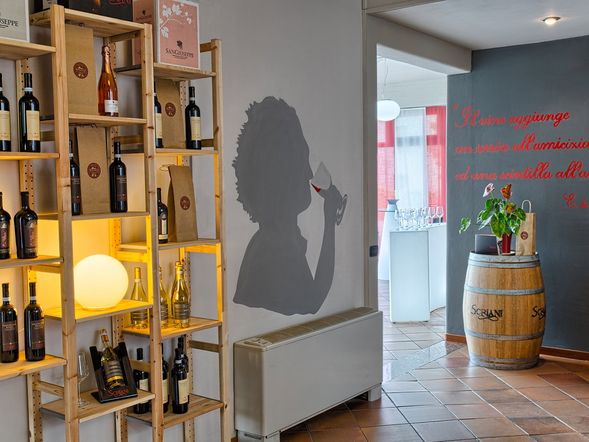 Hotel Valpolicella International