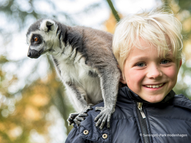 Serengeti-Park Hodenhagen mit Ticket und Hotel