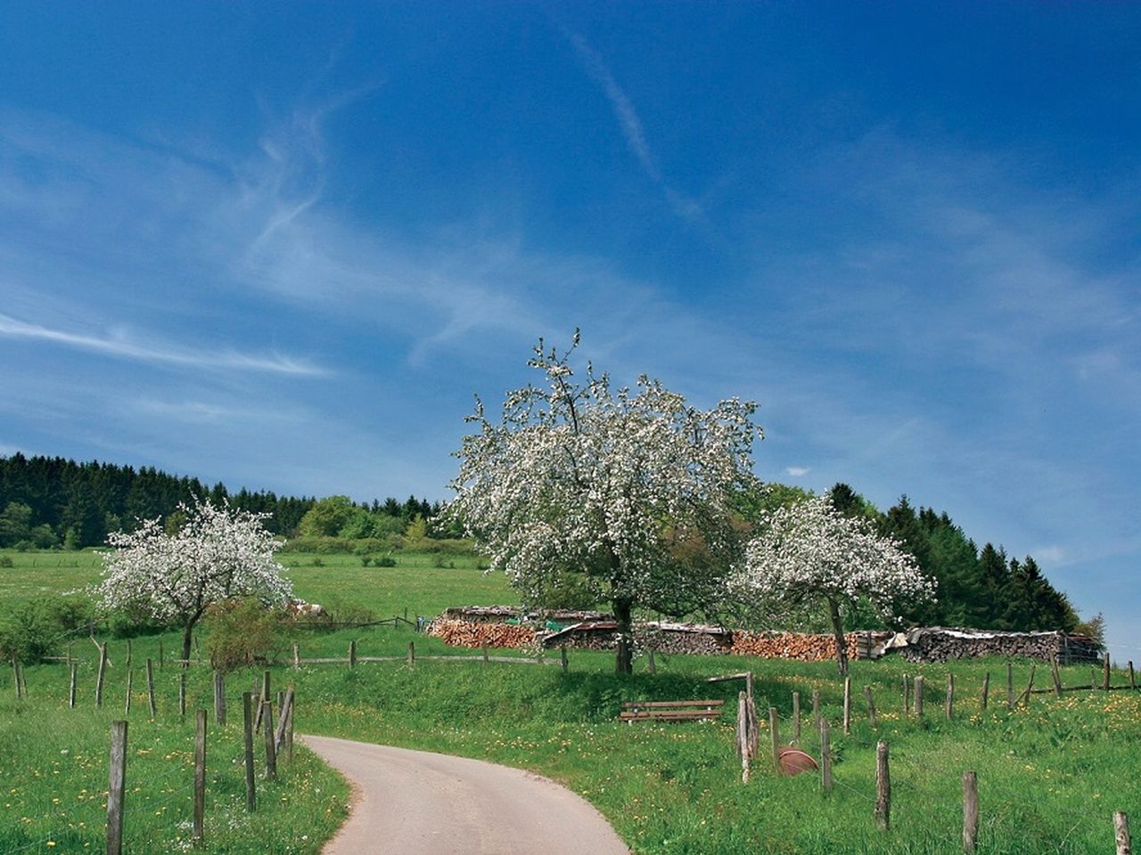 Wandern auf dem Uplandsteig - 3 Tage im Sauerland