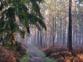 Pure Entspannung am Niederrhein