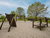 3 Winter-Spar-Tage am See inkl. Halbpension plus