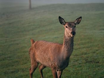 Auszeit zu Zweit inmitten der Naturidylle- inkl. HP