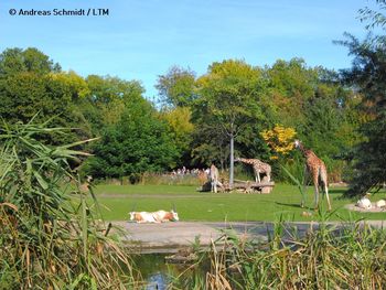 LOGINN & enjoy @ Zoo Leipzig! 5 Tage Tierischer Spaß