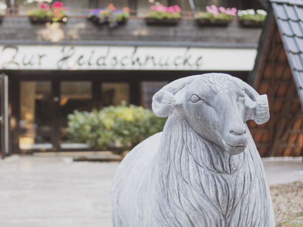 2 Tage Schnuckelige Auszeit in Asendorf, Niedersachsen inkl. Halbpension