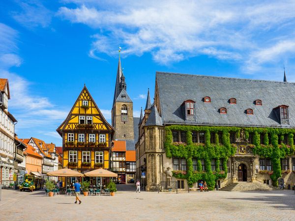 Urlaub mit 4 Pfoten im Harz / 6 Tage in Friedrichsbrunn (Thale), Sachsen-Anhalt Frühstück